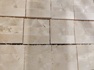 IMG_20241025_083843